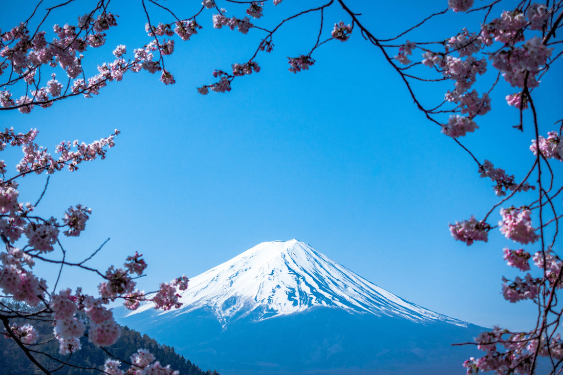 探索【富士山溶岩粉末】的魅力